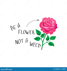 BE A FLOWER…. NOT A&nbsp;WEED